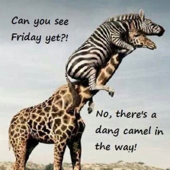 COMMENTS FULL! ๐ฑ SEE NEW LISTING NEXT DOOR! - Picture 8 of 16